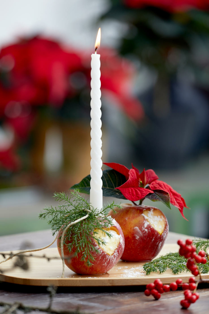 Weihnachtsstern und Kerze in Äpfeln, weihnachtlich dekoriert. Bild: SfE.